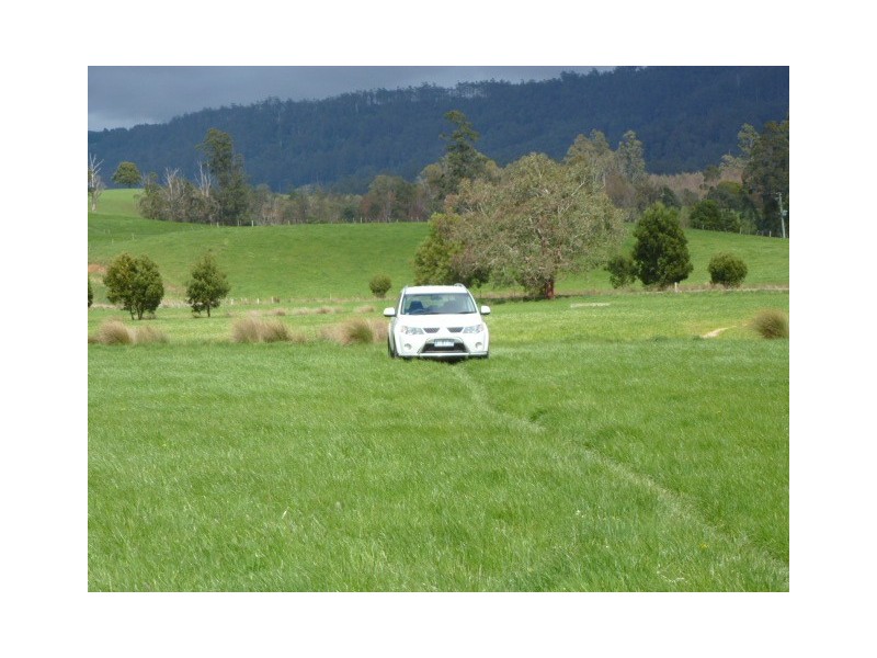 * Sledge Track, Springfield, Scottsdale TAS 7260