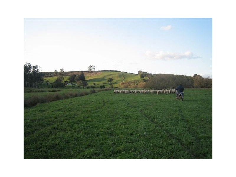 * Sledge Track, Springfield, Scottsdale TAS 7260