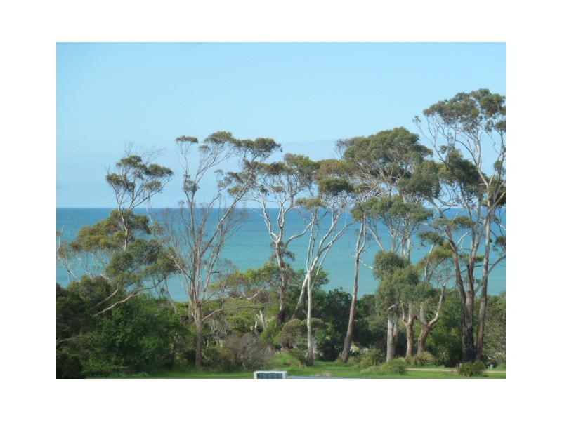 2 Henry Street, Bridport TAS 7262