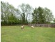 46 East Maurice Road, Ringarooma TAS 7263