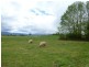 46 East Maurice Road, Ringarooma TAS 7263