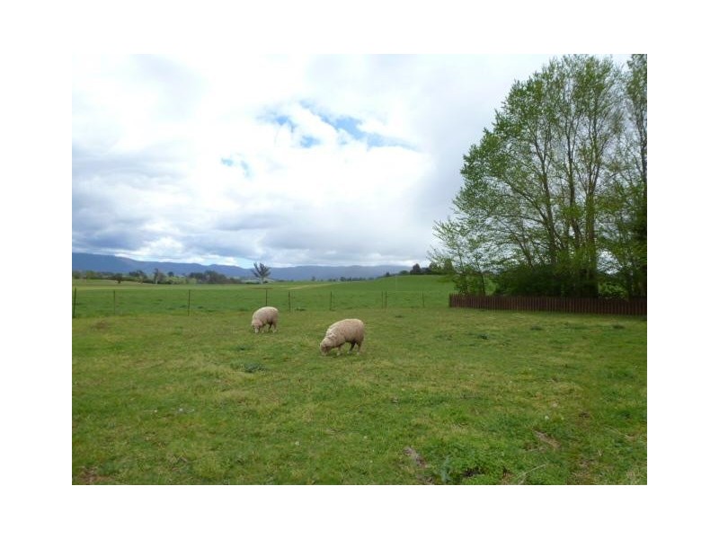 46 East Maurice Road, Ringarooma TAS 7263