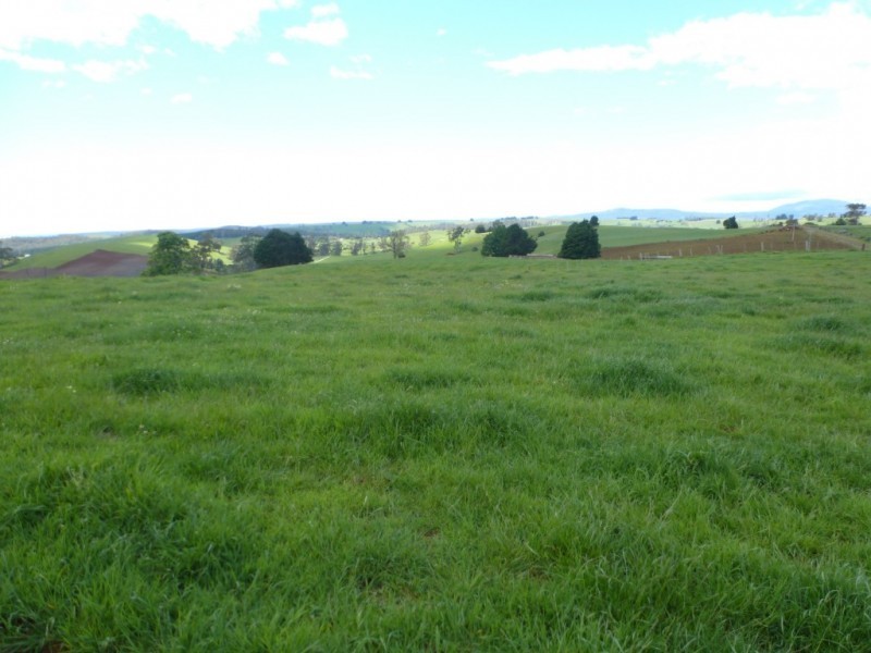 8 Thomas Street, Scottsdale TAS 7260