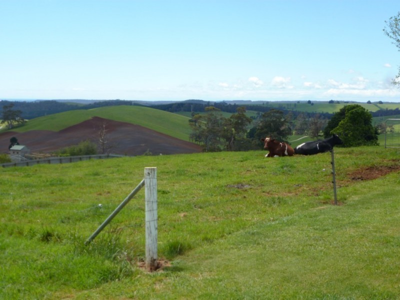 * Thomas Street, Scottsdale TAS 7260