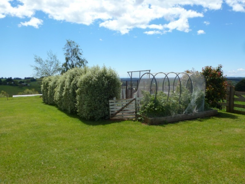 * Thomas Street, Scottsdale TAS 7260