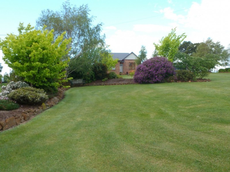 * Thomas Street, Scottsdale TAS 7260