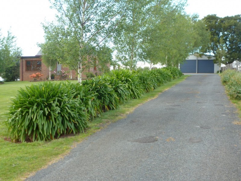 * Thomas Street, Scottsdale TAS 7260