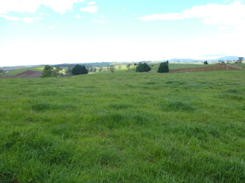 8 Thomas Street, Scottsdale TAS 7260