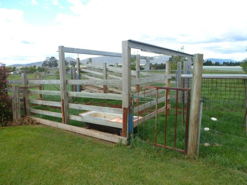 8 Thomas Street, Scottsdale TAS 7260