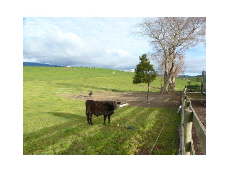 148 Austins Road, Scottsdale TAS 7260