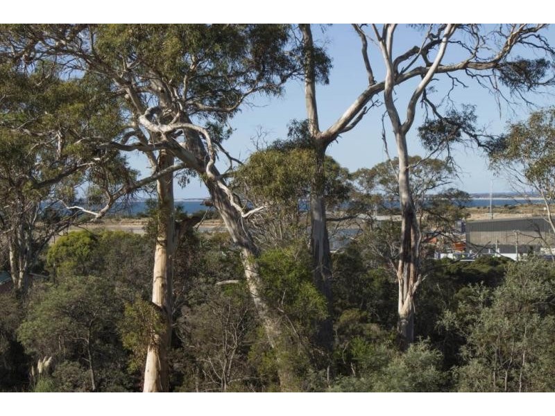 2/4 Bridview Place, Bridport TAS 7262