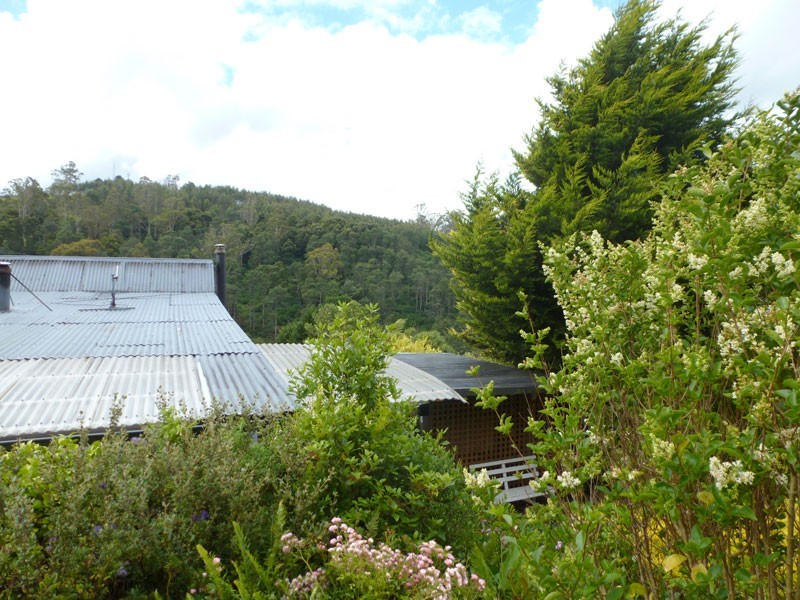 15 Renison Street, Derby TAS 7264