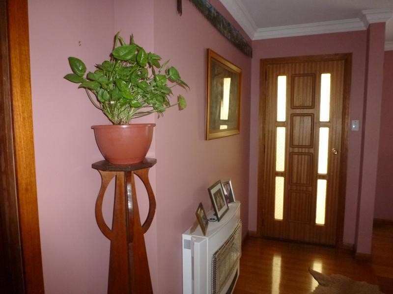 25 Gofton Street, Scottsdale TAS 7260