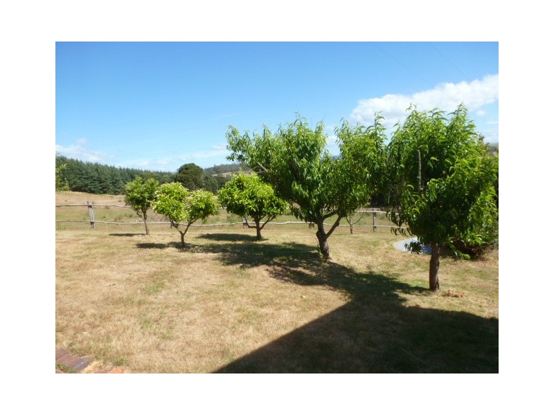 370 Banca Road, Winnaleah TAS 7265