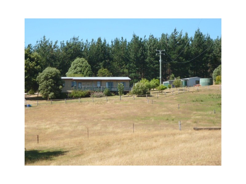 * Banca Road, Winnaleah TAS 7265