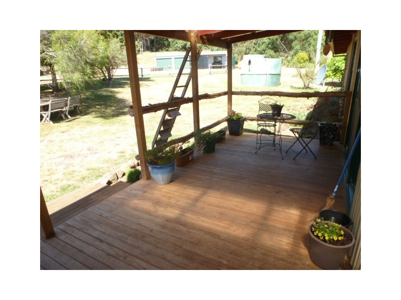 * Banca Road, Winnaleah TAS 7265