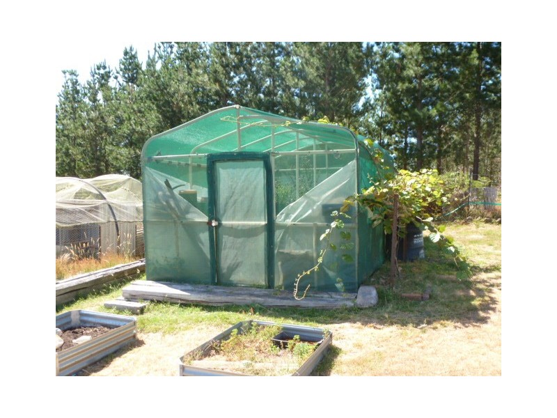 * Banca Road, Winnaleah TAS 7265