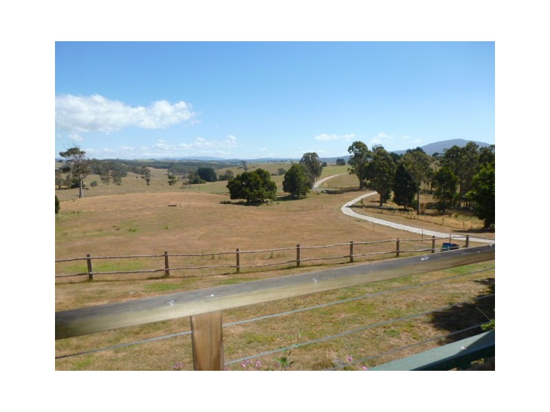 * Banca Road, Winnaleah TAS 7265