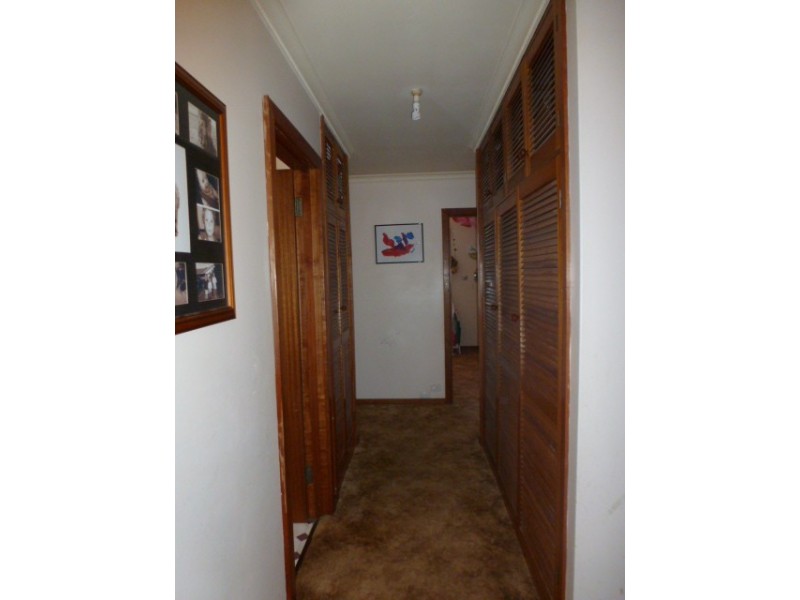 4 Mary Street, Scottsdale TAS 7260