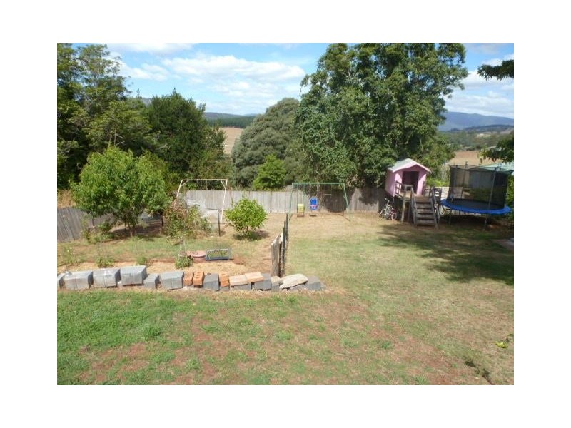 12 Alice Street, Scottsdale TAS 7260