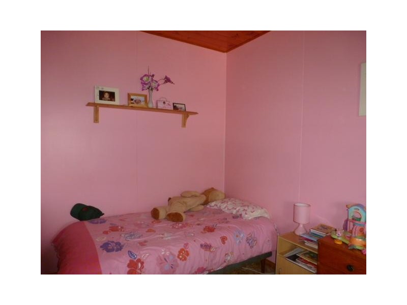 12 Alice Street, Scottsdale TAS 7260