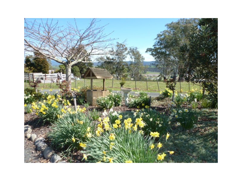 1 Albert Street, Branxholm TAS 7261