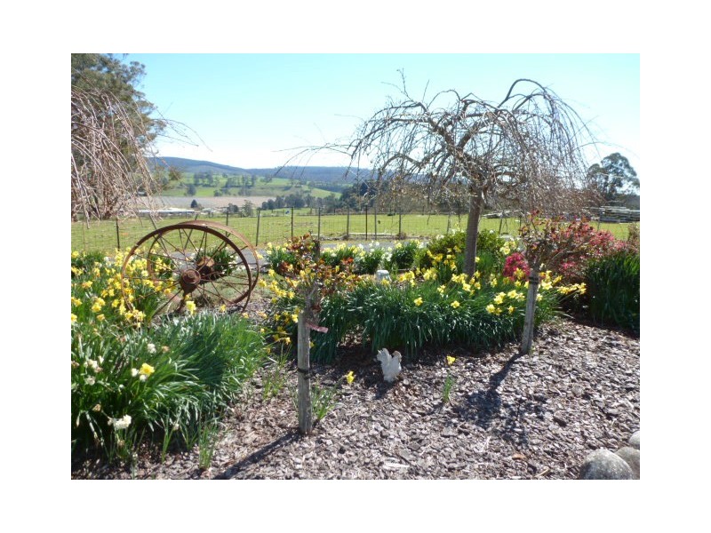 1 Albert Street, Branxholm TAS 7261