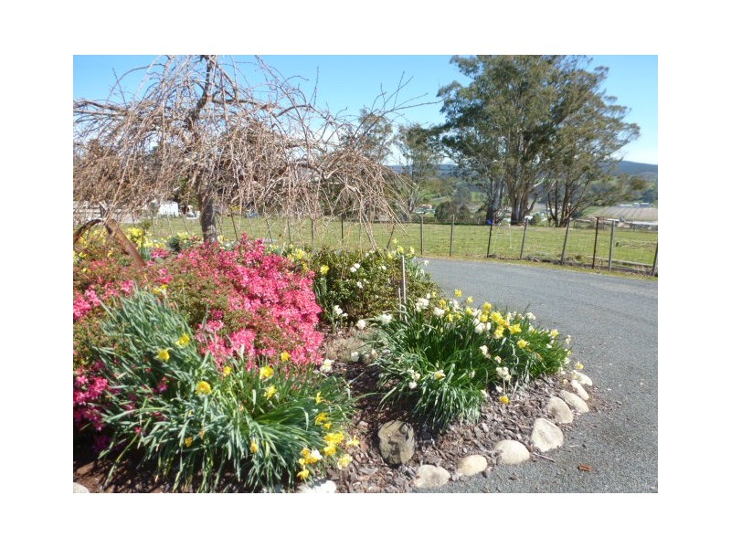 1 Albert Street, Branxholm TAS 7261