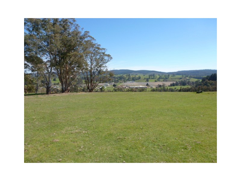 1 Albert Street, Branxholm TAS 7261