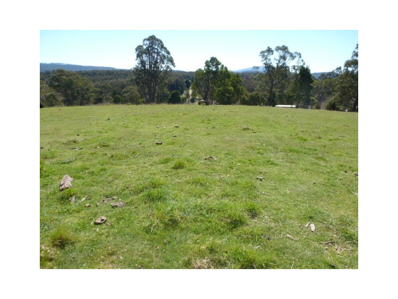 1 Albert Street, Branxholm TAS 7261