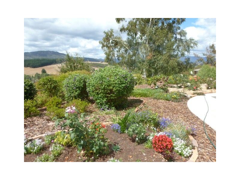 2/15 Hedley Street, Scottsdale TAS 7260