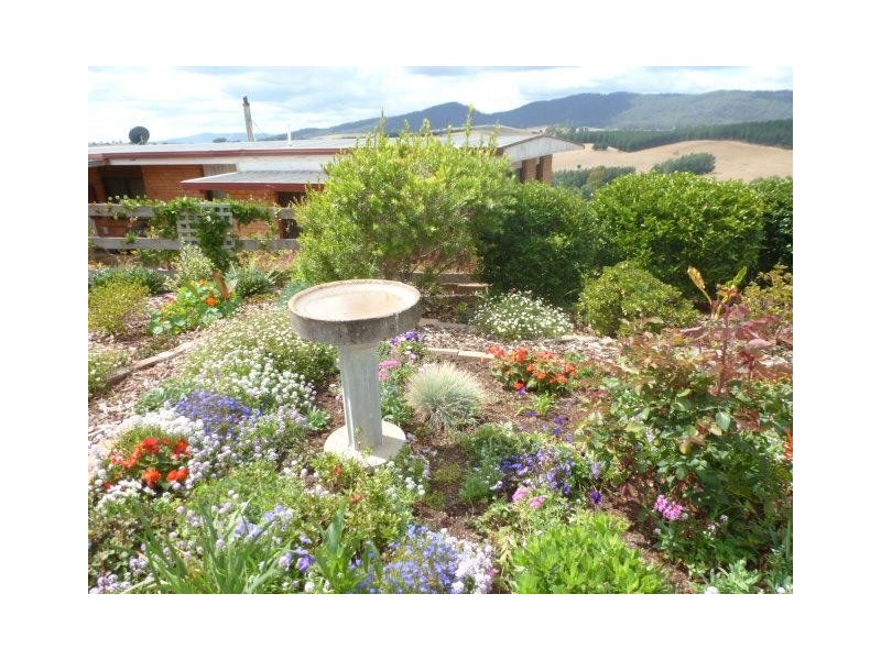 2/15 Hedley Street, Scottsdale TAS 7260