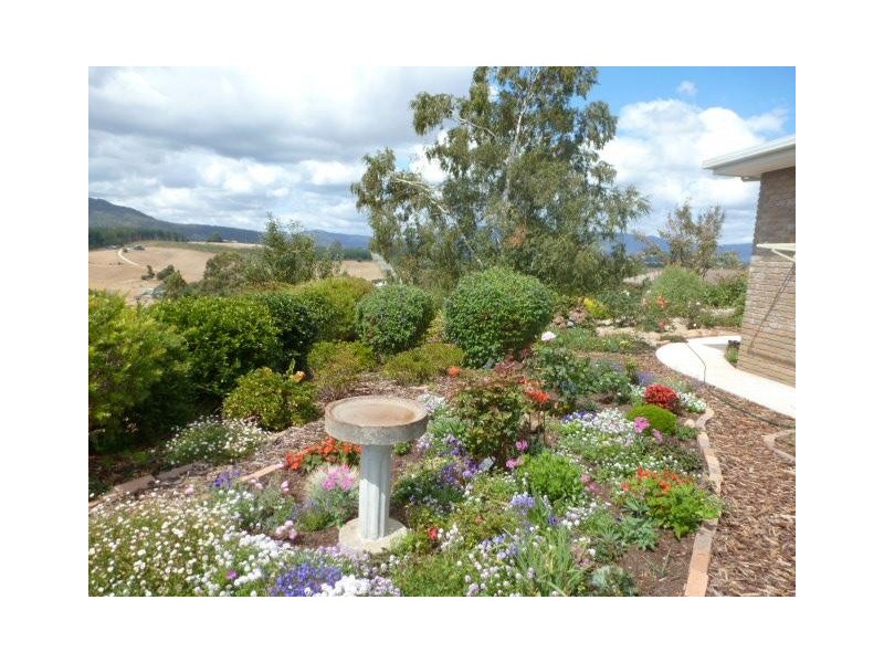 2/15 Hedley Street, Scottsdale TAS 7260