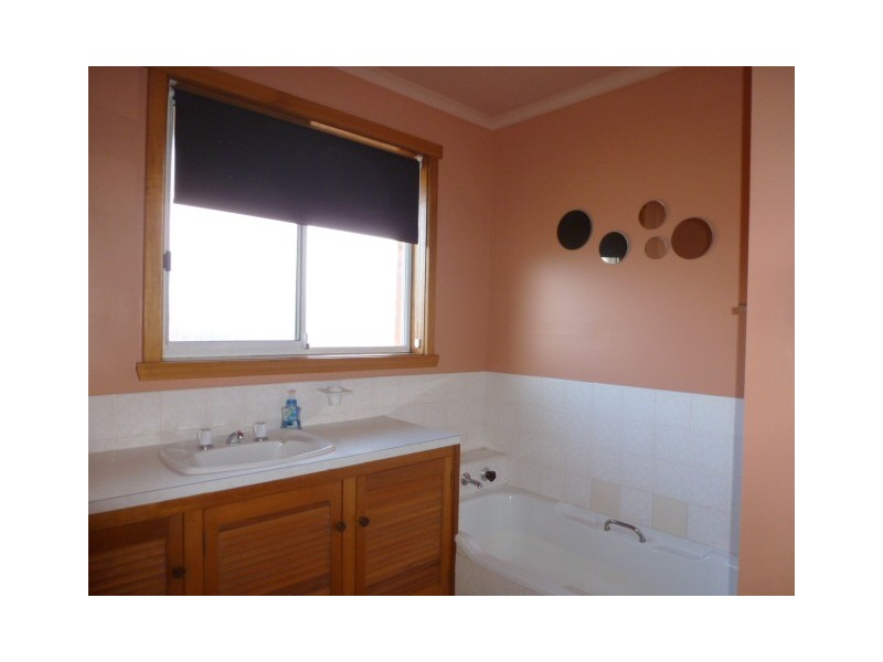 14 McLennan Street, Scottsdale TAS 7260