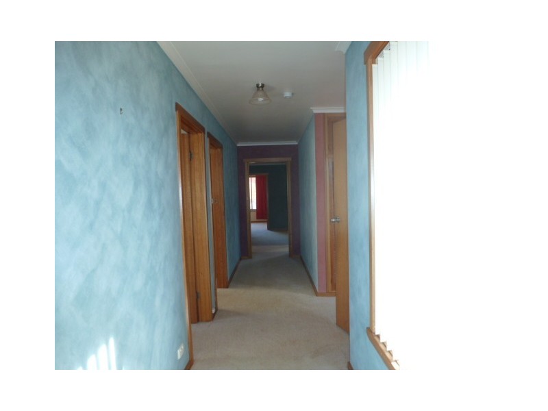 10 McLennan Street, Scottsdale TAS 7260