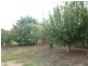 88 Williams Road, Scottsdale TAS 7260