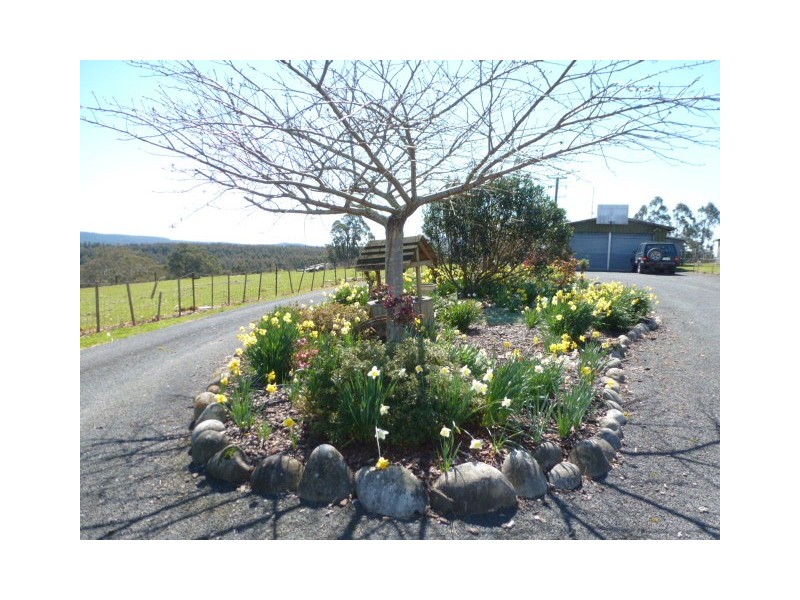 * Albert Street, Branxholm TAS 7261