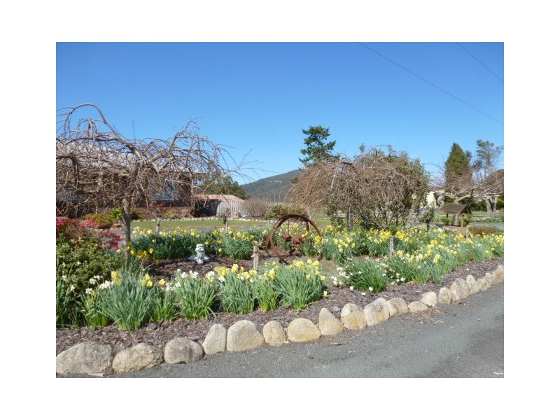 * Albert Street, Branxholm TAS 7261