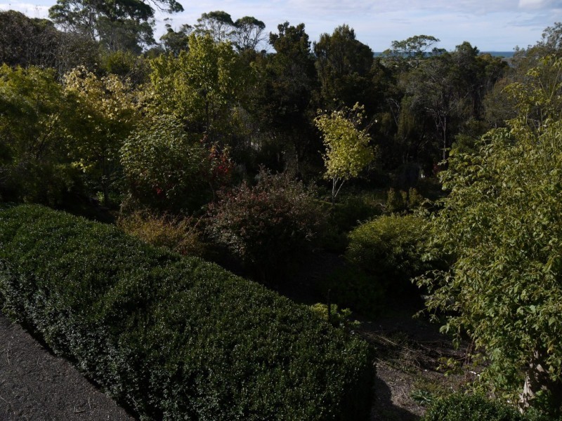 7 Bridview Place, Bridport TAS 7262