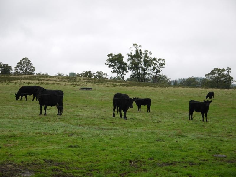 * Barnbougle Road, Scottsdale TAS 7260