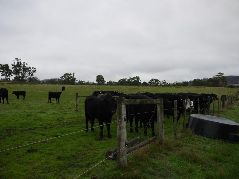 * Barnbougle Road, Scottsdale TAS 7260