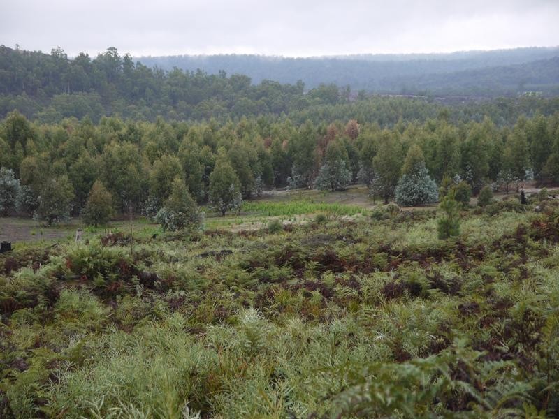 * Barnbougle Road, Scottsdale TAS 7260