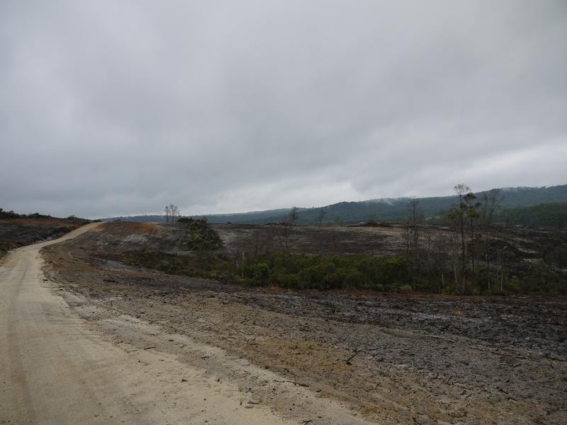 * Barnbougle Road, Scottsdale TAS 7260