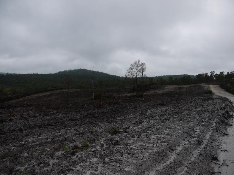 * Barnbougle Road, Scottsdale TAS 7260