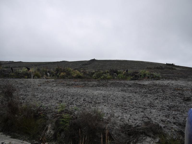 * Barnbougle Road, Scottsdale TAS 7260