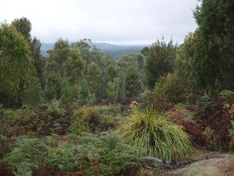 * Barnbougle Road, Scottsdale TAS 7260