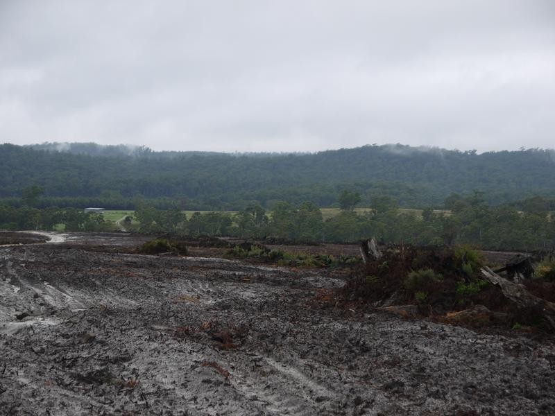 * Barnbougle Road, Scottsdale TAS 7260