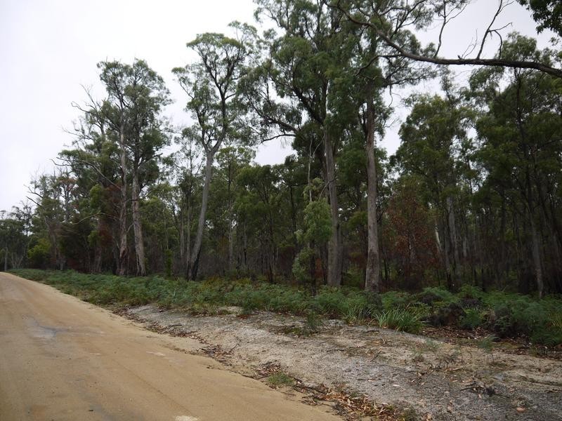 * Barnbougle Road, Scottsdale TAS 7260