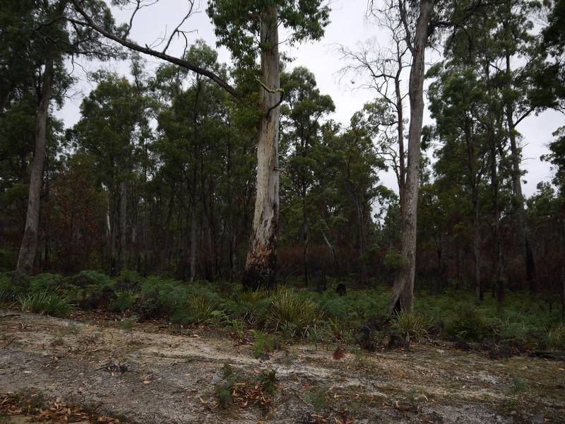 * Barnbougle Road, Scottsdale TAS 7260