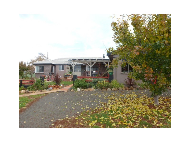 392 Bridport Road, Scottsdale TAS 7260